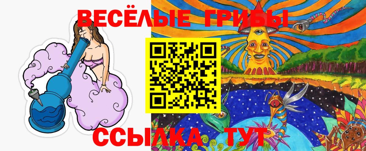 Галлюциногенные грибы Psilocybe  даркнет сайт  Сокол  Вход с VPN 