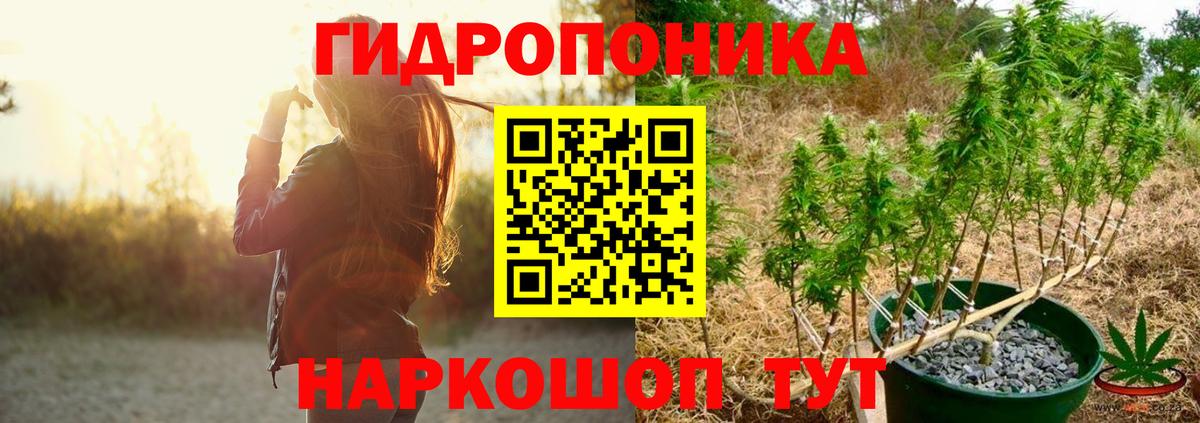Марихуана SATIVA & INDICA  Вход с VPN  Сокол  Каннабис OG Kush  Канабис Amnesia 